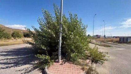 Polimeni - Germaneto, la Stazione del Degrado a Due Passi dalla Cittadella Regionale (20.10.25)