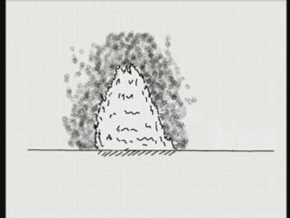 La vie d'un arbre