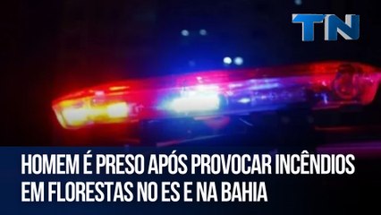 Homem é preso após provocar incêndios em florestas no ES e na Bahia