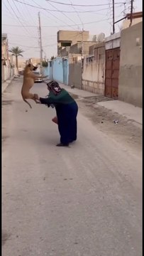 Woman Terrified as Dog Suddenly Jumps and Barks at Her in the Street 😱🐕