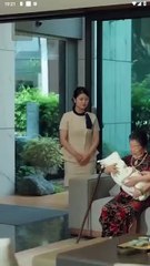 born again love again chinese drama💖(telegram@linkeex)