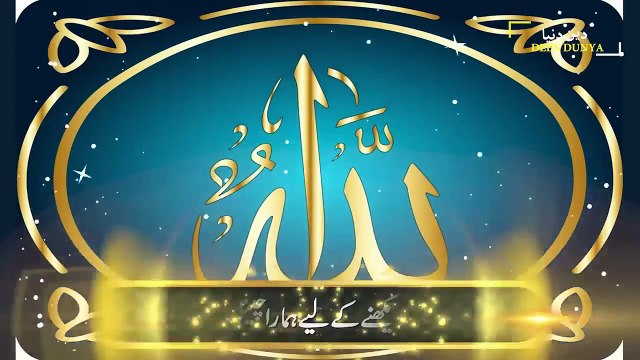 Zakir Naik makes happy to a Christen Girl as she was crying Dr Zakir Naik Zakir Naik Dawah Center