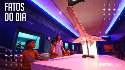 Exposição do Museu Goeldi alerta para a preservação do peixe-serra, espécie ameaçada de extinção