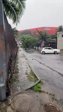 Árvore cai, derruba postes e interrompe trânsito na em bairro de Salvador após fortes chuvas; assista