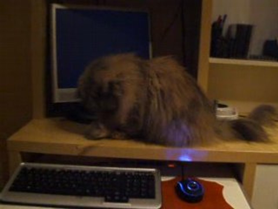 luna al pc