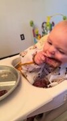 Dog Swiftly Snatches Baby's Steak