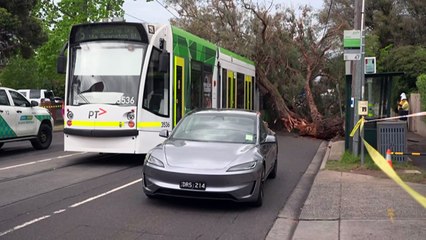 Two dead as severe weather across Victoria downs trees and cuts power