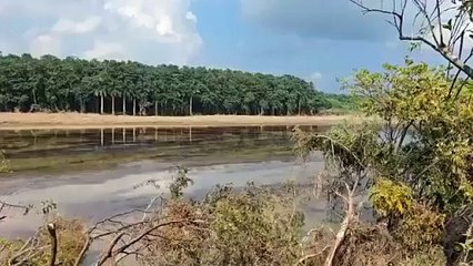 Derrame de Pemex contamina 8 km del río Pantepec en Veracruz