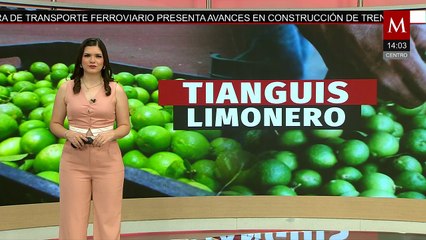 Tianguis limonero en Apatzingán, Michoacán registra baja afluencia