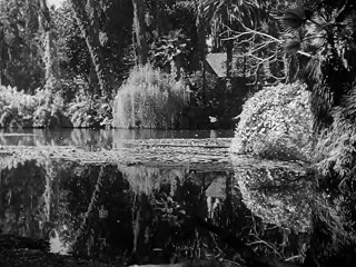 peliculas clasicas Odio y orgullo 1951