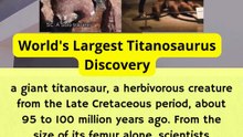 Giant Footprints Buried in Time World's Largest Titanosaur Discovery