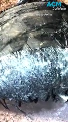 Mystery ‘space junk’ discovered in rural Western Australia