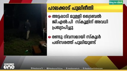 പാലക്കാട് അട്ടപ്പാടിയിൽ പുലിഭീതിയെ തുടർന്ന് സ്കൂളിന് അവധി