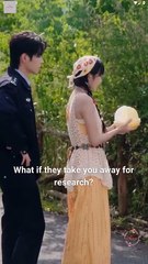 Animal Whisperer, Crime Solver Full Movies English Sub