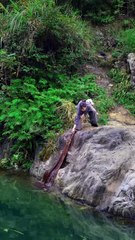 “You’ll Never Guess What Happened Next…”