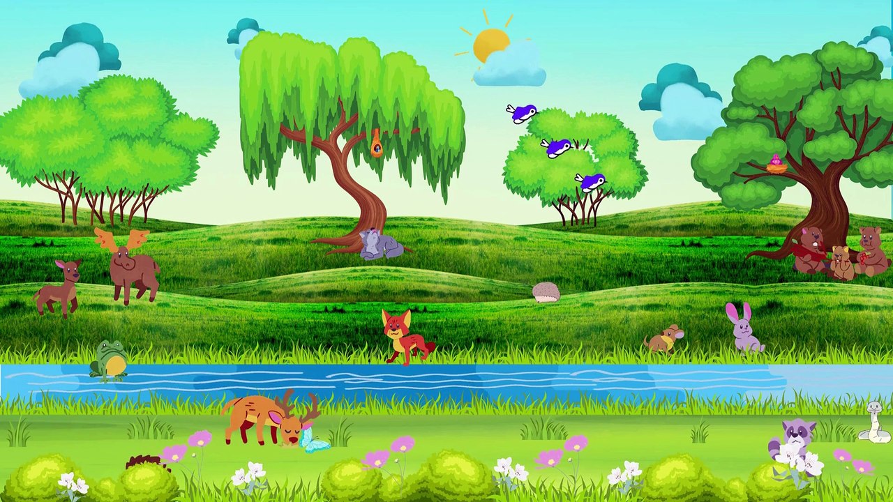 [#Podcast] Conoce los animales del bosque - Meet the animals of the forest