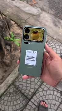 Upcoming Phone Photography Test Camera testing The Best Phone for Photography Review