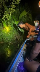 Man Caught Wrestling a Giant Python in Dark Swamp — Shocking Real Footage!