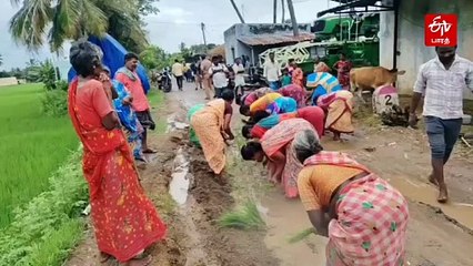 “இதை வயலாகவே மாற்றி விடுங்கள்!” - சாலையில் நாற்று நட்டு நூதன ஆர்ப்பாட்டம்