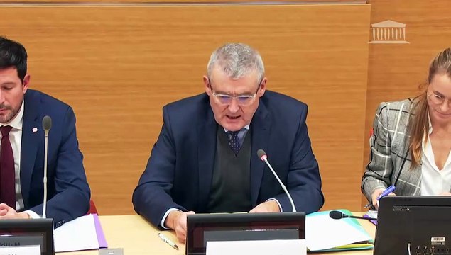 Mouvements politiques et islamisme : Mme Florence Bergeaud-Blackler, chargée de recherche au CNRS - Mercredi 22 octobre 2025