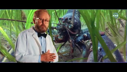 Women Inject Themselves With Lobster Enzymes to Stop Aging — Unaware of the Side Effects