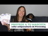🐶Protege a tu perro con el COLLAR ANTIPARASITARIO de Prevendog🐕 | Farmaciasdirect