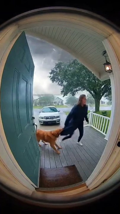Horizon Disaster