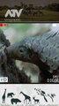 A pangolin’s tongue  Wildlife Photography Review ATV Searial