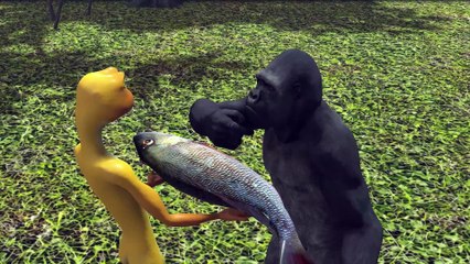 Patila Challenge 10 (3D): Fish Fiasco & Raptor Rampage! Gorilla's Double Trouble!