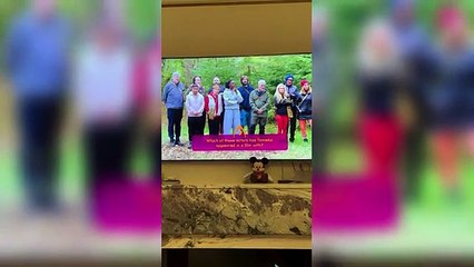 Rebel Wilson shares funny clip of herself watching Celebrity Traitors