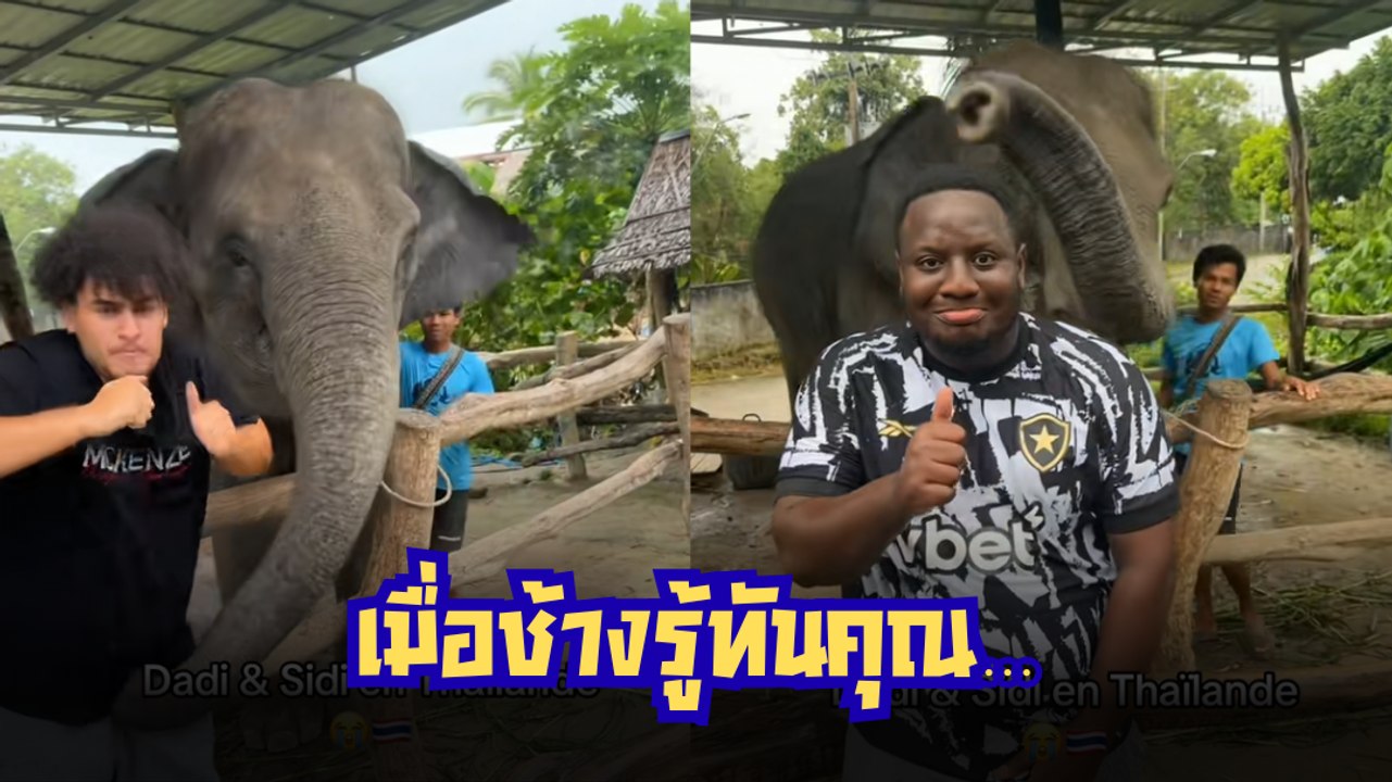 เมื่อ 2 หนุ่มต่างชาติถ่ายรูปกับช้างไทย มาดูกันว่าจะเกิดอะไรขึ้น