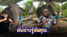 เมื่อ 2 หนุ่มต่างชาติถ่ายรูปกับช้างไทย มาดูกันว่าจะเกิดอะไรขึ้น