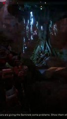 What Did I Just See?