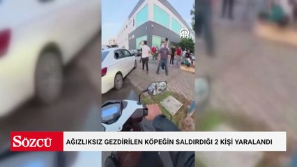 Ağızlıksız gezdirilen köpeğin saldırdığı 2 kişi yaralandı
