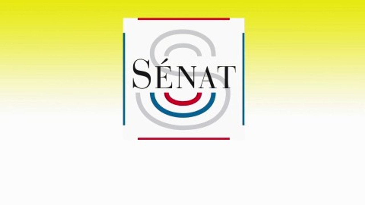 Budget de la sécurité sociale : audition d’Amélie de Montchalin, ministre des Comptes publics