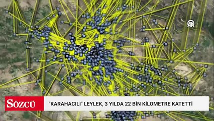 "Karahacılı" leylek, 3 yılda yaklaşık 22 bin kilometre katetti
