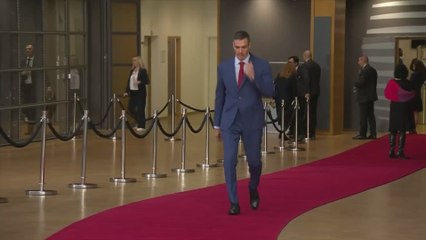 Pedro Sánchez llegada a Bruselas
