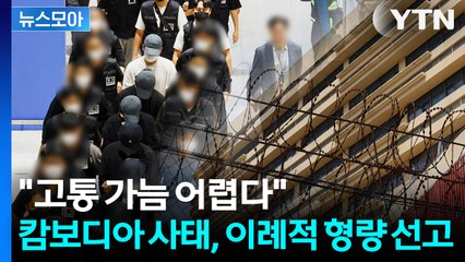 [뉴스모아] 충격적인 캄보디아 범죄 네트워크… 놀란 법원의 '이례적 판결' / YTN