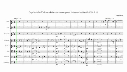 Capriccio for Violin and Orchestra composed between 2020.6.10-2020.7.22 (Horizontal complete score)