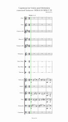 Capriccio for Violin and Orchestra composed between 2020.6.10-2020.7.22 (Vertical complete score)