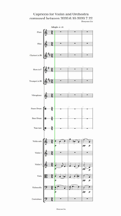 Capriccio for Violin and Orchestra composed between 2020.6.10-2020.7.22 (Vertical complete score)