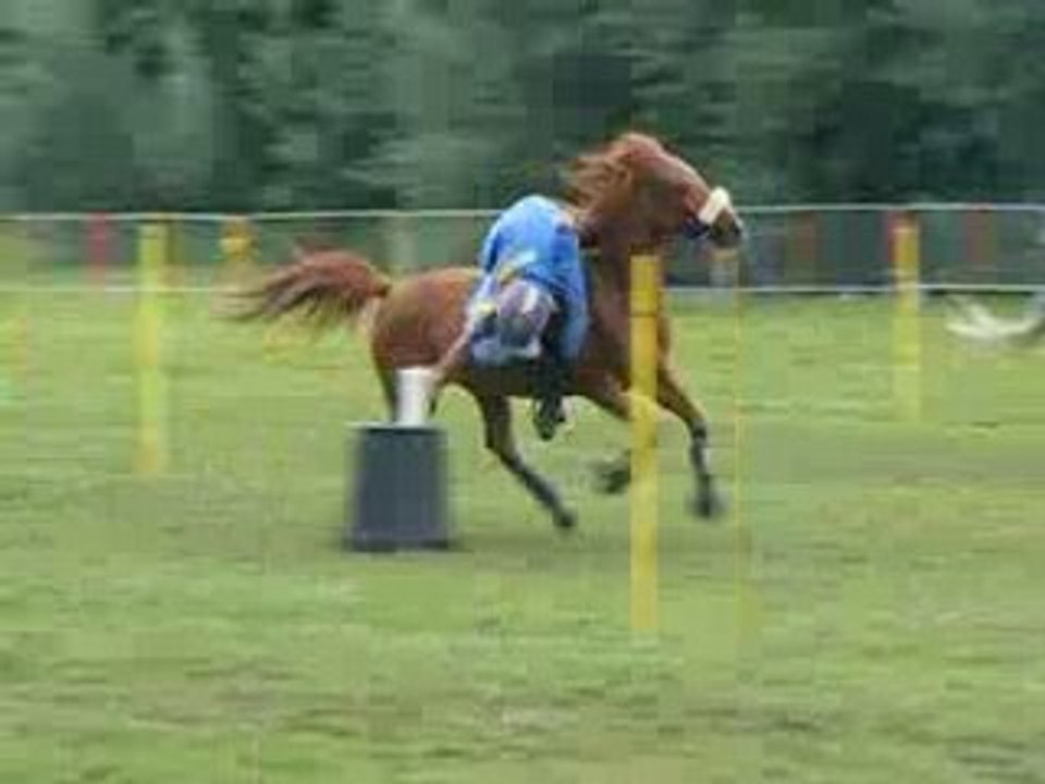 Bouteilles, Peillard Espoir, Bruille