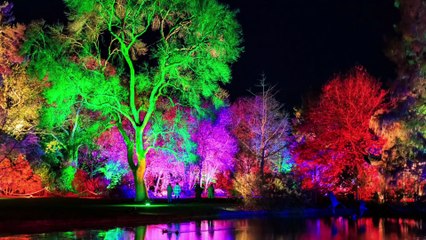 RHS Glow at Wisley: Wander through a magical winter garden that lights up this festive season