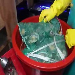 Amazing Fresh! Huge lobster course meal(sashimi, grilled butter, etc.)