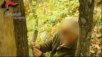 Bracconaggio, giro di vite nel Bresciano: 67 denunciati e oltre 500 dispositivi di cattura sequestrati