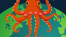 La pieuvre a 3 coeurs !