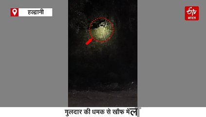 सावधान! हल्द्वानी के इस इलाके में बेखौफ घूम रहा गुलदार, रहे सतर्क