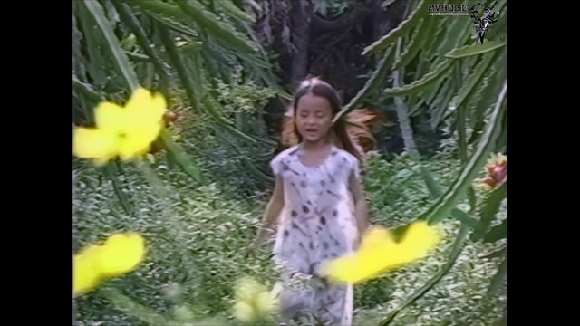 Đình Văn - Bên cầu ngó mong [OFFICIAL MV] [4K HD REMASTERED]