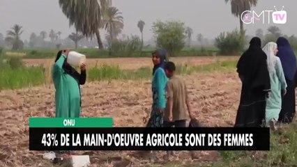 [#Reportage] ONU : 43% de la main-d'oeuvre agricole sont des femmes