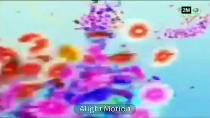 فواصل دوزيم رمضان 2007 لأول مرة في المغرب - 2m 2m tv